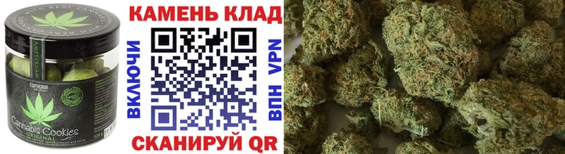 закладки  Шумиха  Cannafood конопля 