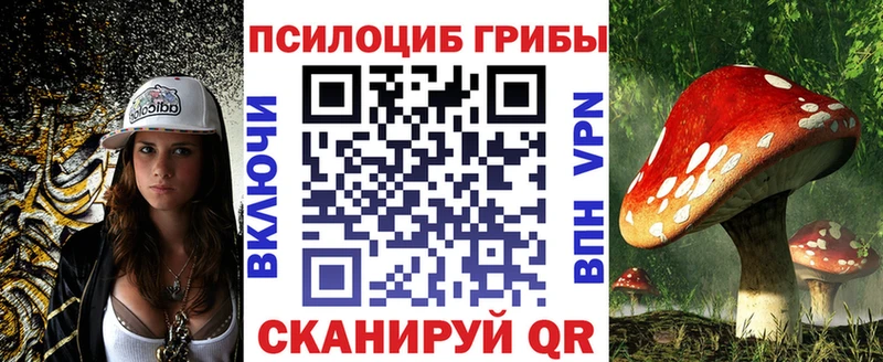 Псилоцибиновые грибы Cubensis  как найти наркотики  Шумиха 